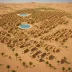 Atar Oasis