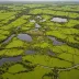 Abbeyleix Bog