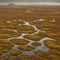 Altnaharra Moors