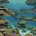 Ashmore Reef