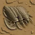 Archegonus