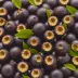 Acai Berry (Euterpe oleracea)