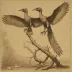 Archaeopteryx (London specimen NHMUK PV OR 37001)