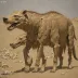Andrewsarchus mongoliensis (AMNH 20135)