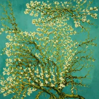 Almond Blossom