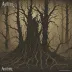 Austere - Withering Illusions and Desolation