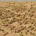 Abusir Necropolis