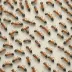 Ants from Up There