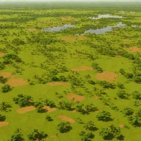 Amapá Savannas