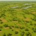 Amapá Savannas