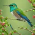 Azure-crowned Hummingbird
