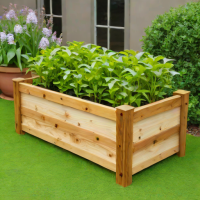 Acacia Decor Raised Garden Bed