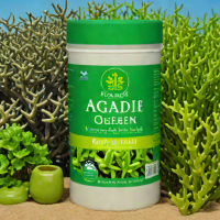 Agadir Ocean Miracle Plant Food