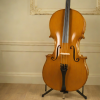 Adams A500C 4/4 Cello Outfit