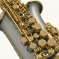 Armstrong ES110 Alto Saxophone