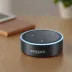 Amazon Echo Dot (1st Gen)