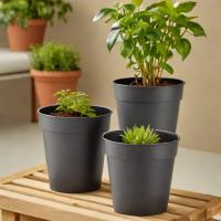 Amazon Basics Plastic Plant Pots - 6 Inch