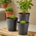 Amazon Basics Plastic Plant Pots - 6 Inch