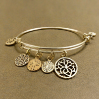 Alex and Ani Bangle Bracelet