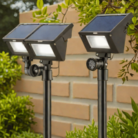 Amazon Basics Solar Powered Spotlights