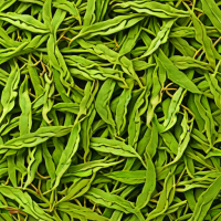 Artisan Teas Organic Dragon Well (Longjing)