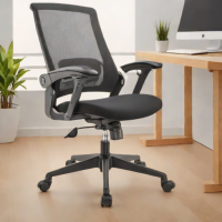 Amazon Basics Foot Rest