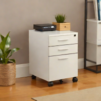 AmazonBasics 2-Drawer Mobile File Cabinet