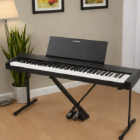 Alesis Recital 61