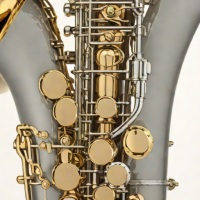 Allora ASV-881 Alto Saxophone