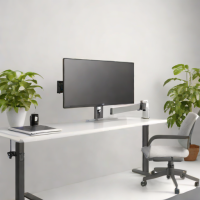 Avanc Single Monitor Mount