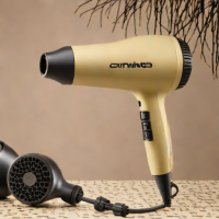 Amika Hair Dryer
