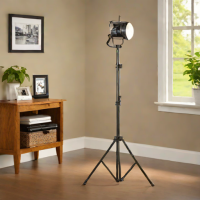 Amazon Basics Light Stand