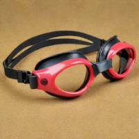 Arena Mad Wave Goggles