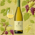 A to Z Pinot Gris