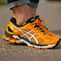 ASICS Gel-Kayano 29