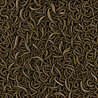 Adagio Teas Keemun Black Tea