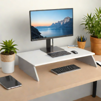 AmazonBasics Monitor Stand Riser