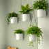 AmiCo House Hanging Planters