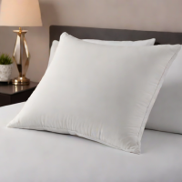 Amazon Basics Microfiber Down Alternative Compact Pillow