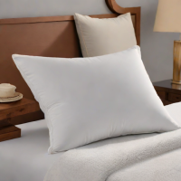 Amazon Basics Microfiber Pillow