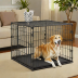 AmazonBasics 2-in-1 Collapsible Dog Crate