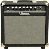 Ampeg Portaflex PF-800