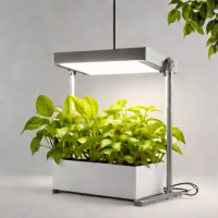 Aukora Grow Light
