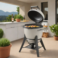 Akorn Kamado Kooker 16