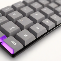 Akko CS Jelly Purple