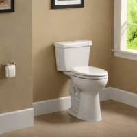 American Standard Cadet Prelude