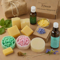 Aroma Elements Soap Making Kit