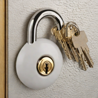 Abus ID Lock 470