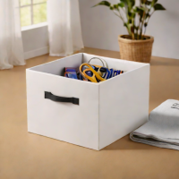 Amazon Basics Collapsible Storage Box