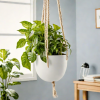 Amazon Basics Hanging Planter